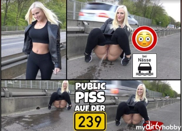 Public Piss Right On The Main Road with Lara HD [Toy, Clothing Mopping] (2023 | Mp4)