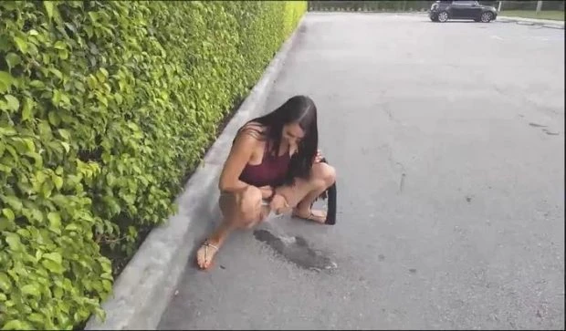 Public Pissing, Flashing, Blowjob with Sexy Drunk Amateur FullHD [Shit And Piss, Piss Drinking] (2023 | MPEG-4)